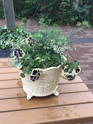 横浜 寄せ植え 玄関
