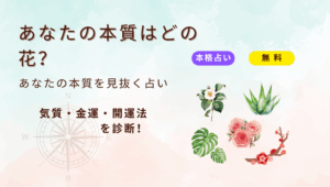 無料診断