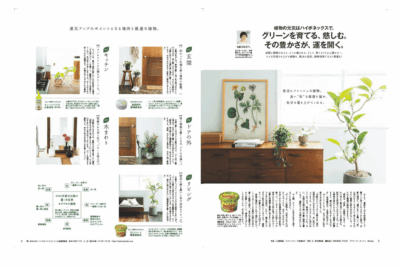 ハイポネックスジャパン コラボ ボタニカル風水